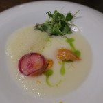 セルサルサーレ - 柚子大根のスープ オリーブオイルと 雲丹と紅芯大根 マイクロリーフ2