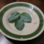 セルサルサーレ - オイスター・リーフ