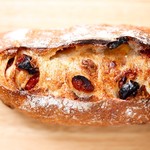 スペイン窯 パンのトラ - クランベリーとナッツの香りカンパーニュ