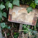 げんかい食堂 - 