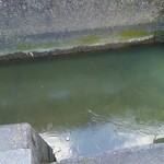 讃岐うどん がもう - さむ～！凍ってた！