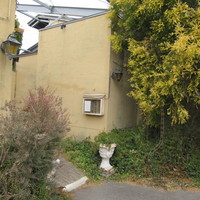 pantagruelico  - 