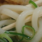 80562323 - 「ごぼう天うどん」（260円）