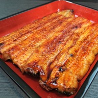 葵かねみつ 特大サイズ（蒲焼）