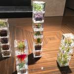 カンテサンス - 