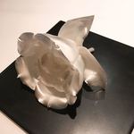 カンテサンス - 