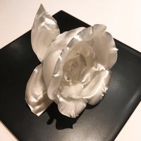 カンテサンス - 