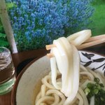 うどんの通 - もう諦めよう
これでも15秒湯煎している