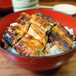 うなぎ処　もりやま - うな丼