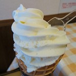 大阪やき三太 - 北海道プレミアムバニラ 380円(食べかけではありません)