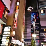 ハヌリ 新宿東口ゴジラ通り店 - 