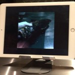 アルゴリズム - シェフによる神経締め動画