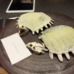 アルゴリズム - すっぽんさん