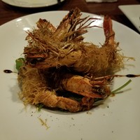 クインチチェントラーレ - 