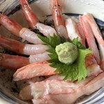 おけしょう鮮魚の海中苑 - カニ・エビ丼（丼アップ）