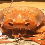 銀座 しのはら - 紅ズワイ蟹