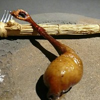 茶禅華 - 