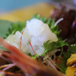 黒潮ダイニング - 伊勢海老・あわび姿造り! 金の究極海鮮丼☆