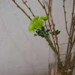 和三盆 恵菓 - 桃花（もゝのはな）