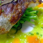 Roasted aged stone sea bream with fukinoto sauce verjus