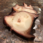 小判寿司 - 煮蛸