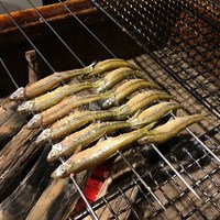 御幸町 田がわ - 琵琶湖の本もろこ