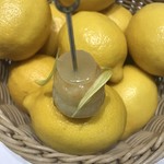 クイントカント - 