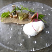 スミレオオサカ - 
