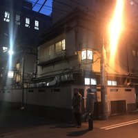 ぼたん - 