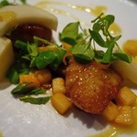 NAHA - Harvested Sea Scallops