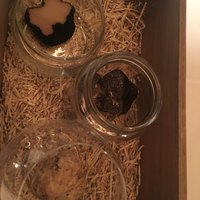 Terres de Truffes, Tokyo - 