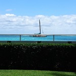 Orchids - テラス席からの眺め