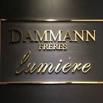 Daman Ryumieru - 