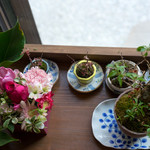 薬膳かふぇ 然 - 