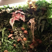 Shangri-La's secret ROPPONGI - 