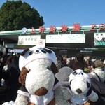 上野動物園 バードソング - 念願の赤ちゃんパンダ・シャンシャンに会うために上野動物園にやってきたボキら。そろそろ開園時間、、、門の前には開園待ちのお客さんのすごい行列が～
