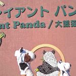 上野動物園 バードソング - 入園したらすぐにパンダ舎に。観覧券のチェックを受けた後はいよいよパンダ舎に入れるよ。ここからもまた並んで待ちます。ちびつぬ「もうすぐ、シャンシャンに会えるのね～♪」