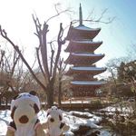 上野動物園 バードソング - パンダ見学が終わって、上野動物園内にある五重塔前でも記念撮影。雪景色できれい～ちびつぬ「つぬっこちゃん、おなかすいた～」パンダさんたちが笹を食べてるのを見たらボキらもお腹すいたね。じゃあ、お昼ご飯にしよう。