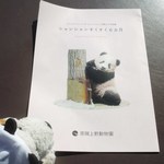 上野動物園 バードソング - これはシャンシャン観覧記念に一家族に一冊もらえる冊子。中はシャンシャンの成長記録をつづった写真がいっぱい載ってていい記念グッズになりました！！ 