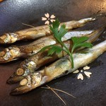 居食屋 わいるどふぁーむ  - 