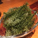 居食屋 わいるどふぁーむ  - 