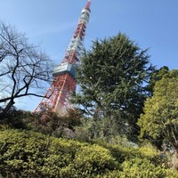 和食 清水 - 