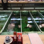 博多料亭 稚加榮 - 