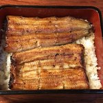 鰻はし本 - 限定鰻重