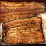 鰻はし本 - 限定鰻重