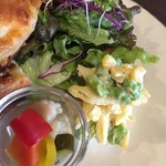 なたね - 枝豆とマカロニサラダ