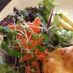 なたね - ニンジンの下にはサツマイモ、カボチャ、ジャガイモ