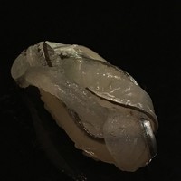 寿司処 「橘」 - 