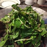 和浦酒場 - パクチーと豆苗のサラダ