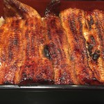 神田きくかわ 神田店 - 『イ』のうな重